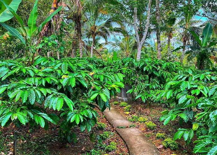 Villa Gempinis Coffee Shop And